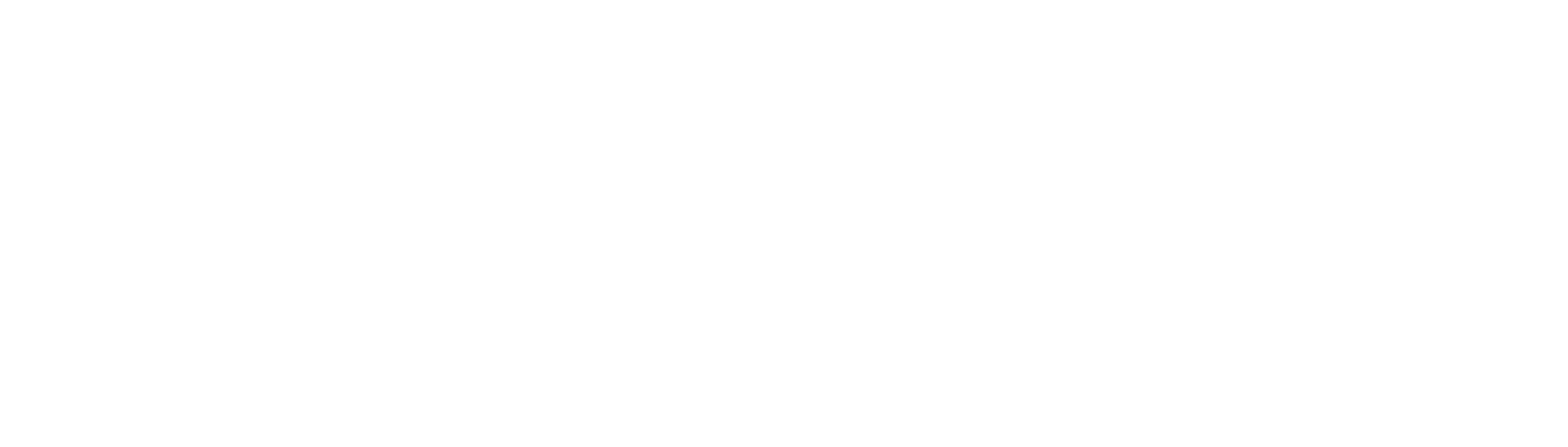logo light